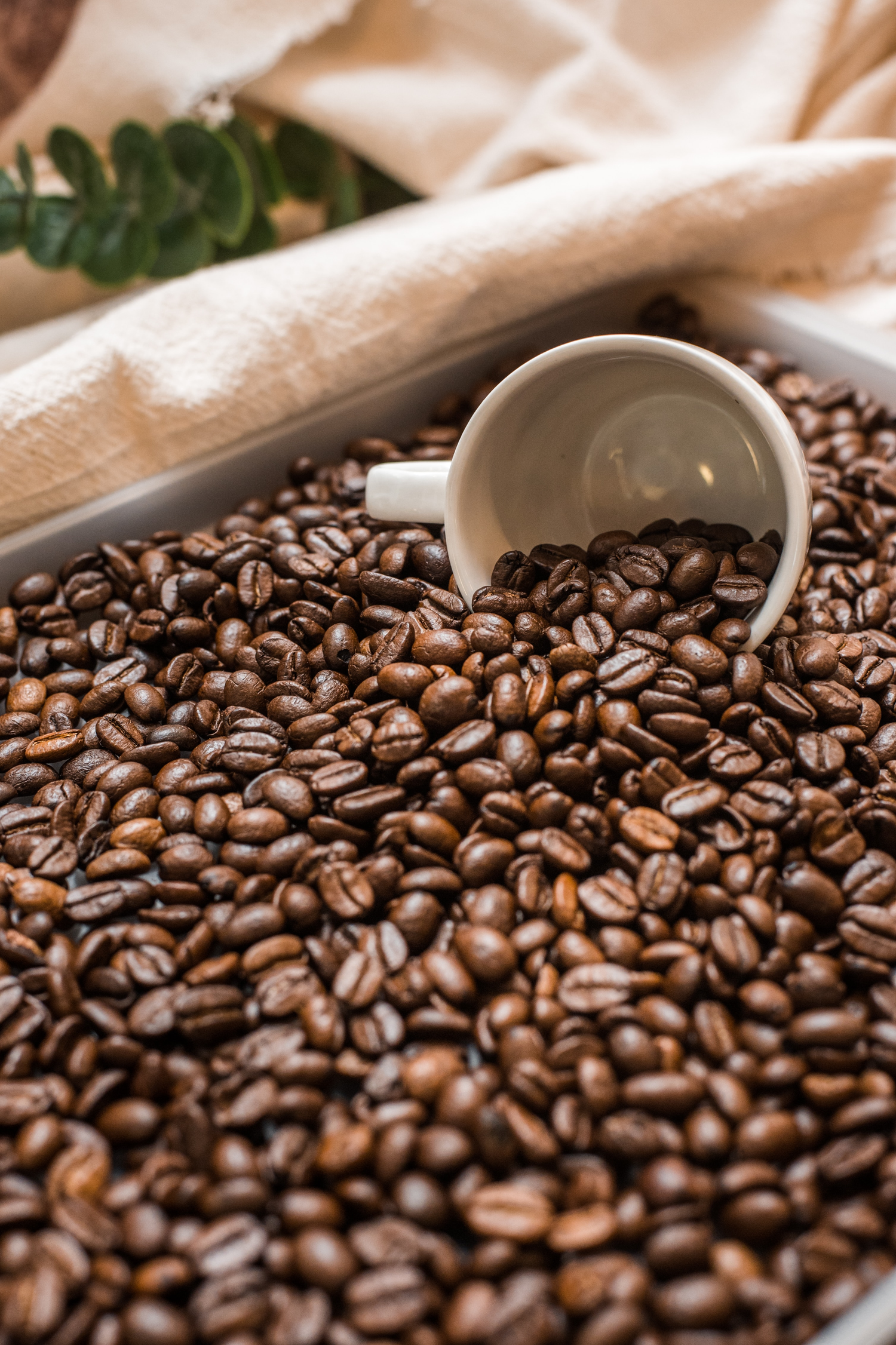 Coffee - Ground & Beans